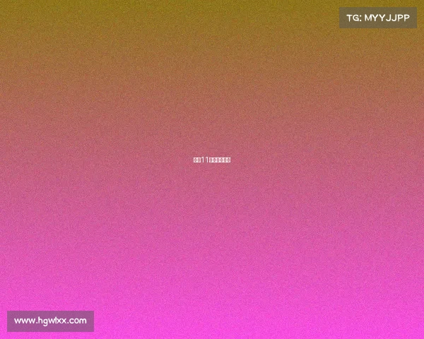 澳门11月赛事安排表