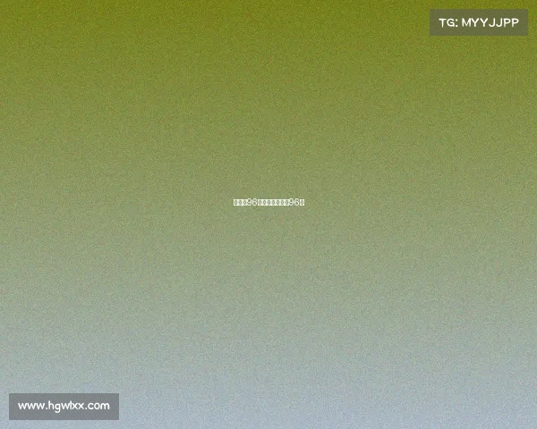 汉诺威96最近赛事汉诺威96队